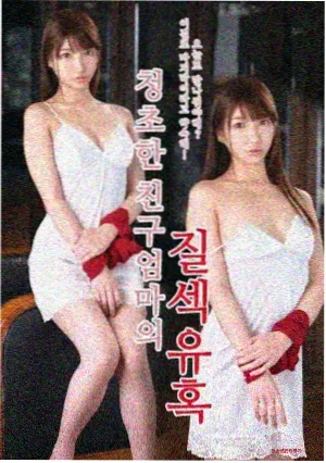 山雀食堂动画封面